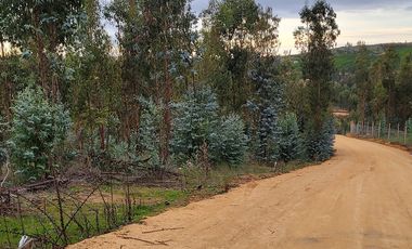 Parcela Forestal Agrícola 5.000m2, Panilonco Paredones