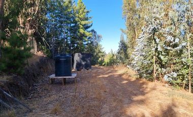 Parcela Forestal Agrícola 5.000m2, Panilonco Paredones