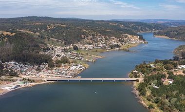 Parcela Forestal Agrícola 5.000m2, Panilonco Paredones
