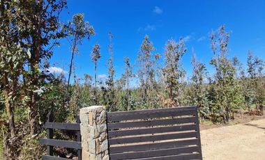 Parcela Forestal Agrícola 5.000m2, Panilonco Paredones