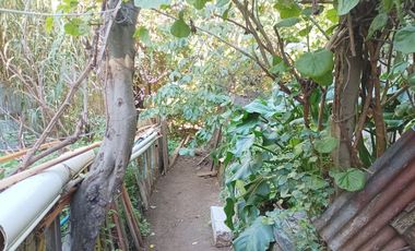 Gran Oportunidad de Inversión – Terreno con 3 Casas y Árboles Frutales en Playa Ancha, Valparaíso