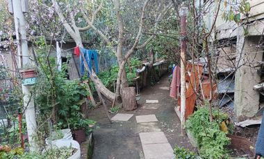 Gran Oportunidad de Inversión – Terreno con 3 Casas y Árboles Frutales en Playa Ancha, Valparaíso