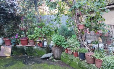 Gran Oportunidad de Inversión – Terreno con 3 Casas y Árboles Frutales en Playa Ancha, Valparaíso