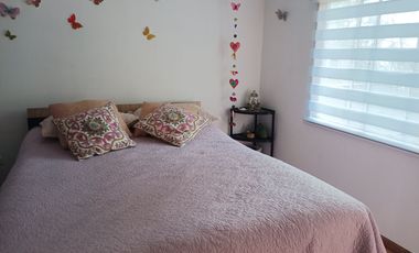 Gran Oportunidad de Inversión – Terreno con 3 Casas y Árboles Frutales en Playa Ancha, Valparaíso