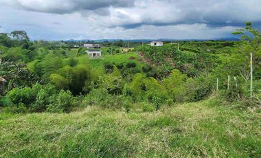 🏠vendo lote campestre, a 3mn de la vía principal y a 2mn de Alcalá