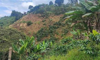 🏠Espectacular casa finca Ulloa