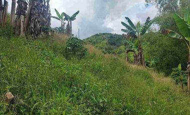 🏠Espectacular casa finca Ulloa