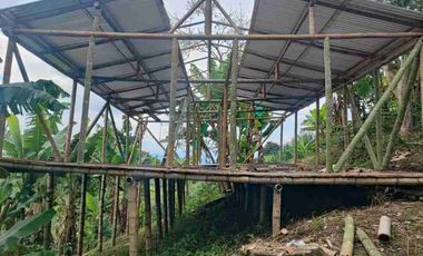 🏠Espectacular casa finca Ulloa