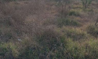 2 Lotes de 241m2  a menos de medio kilometro del cerrito de Guadalupe