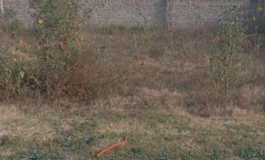 2 Lotes de 241m2  a menos de medio kilometro del cerrito de Guadalupe