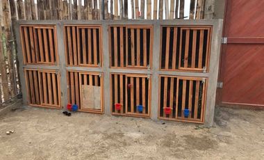 🏡 Venta de Casa con Piscina en Asia – Km 102 🌊☀️