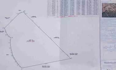 Cabaña en VENTA, en amolio terreno de 2,200 m2 en Omitlan Hgo