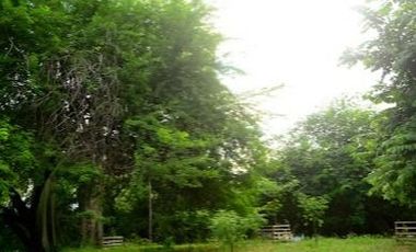 🔥 Terreno en Samanes 1 listo para ti ✅