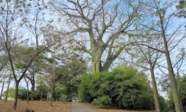 🔥 Terreno en Samanes 1 listo para ti ✅