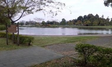 🔥 Terreno en Samanes 1 listo para ti ✅