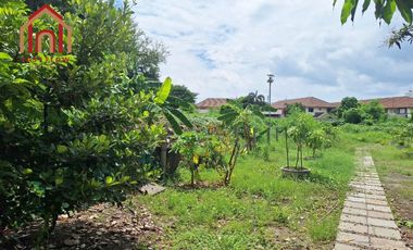 Land for sale: 1 rai, 1 ngan, 55 square wah (approximately 1.5 acres) located on the main road into Tha Chalom, just 300 meters from Soi Tha Chalom. 6