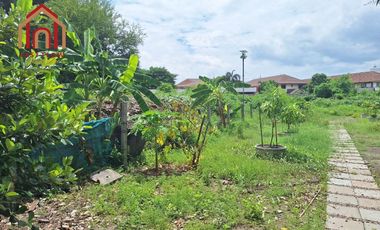 Land for sale: 1 rai, 1 ngan, 55 square wah (approximately 1.5 acres) located on the main road into Tha Chalom, just 300 meters from Soi Tha Chalom. 6