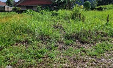 ขายที่ดิน เนื้อที่ 84.7 ตร.วา เทิง เชียงราย