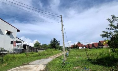 ขายที่ดิน เนื้อที่ 84.7 ตร.วา เทิง เชียงราย