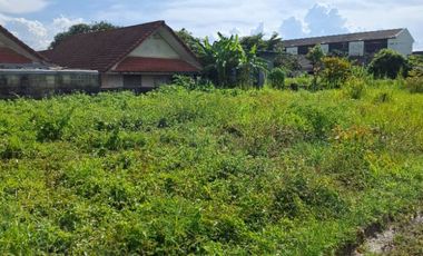 ขายที่ดิน เนื้อที่ 84.7 ตร.วา เทิง เชียงราย