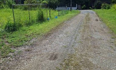 ขายที่ดิน เนื้อที่ 84.7 ตร.วา เทิง เชียงราย