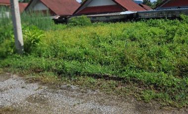 ขายที่ดิน เนื้อที่ 84.7 ตร.วา เทิง เชียงราย