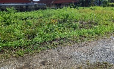 ขายที่ดิน เนื้อที่ 84.7 ตร.วา เทิง เชียงราย