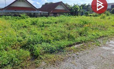 ขายที่ดิน เนื้อที่ 84.7 ตร.วา เทิง เชียงราย