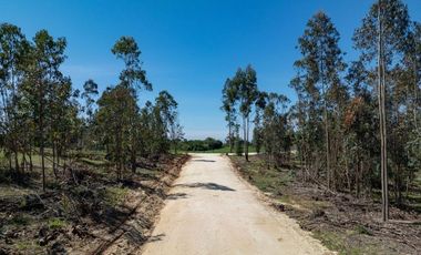Terrenos con Hermoso entorno vive matanzas