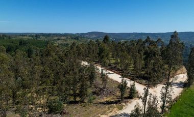 Terrenos con Hermoso entorno vive matanzas