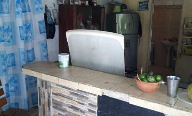 VENDO FINCA EN BARANOA DE 1 HECTAREA CON ARBOLES FRUTALES