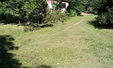 VENDO FINCA EN BARANOA DE 1 HECTAREA CON ARBOLES FRUTALES