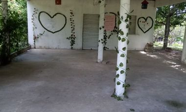 VENDO FINCA EN BARANOA DE 1 HECTAREA CON ARBOLES FRUTALES