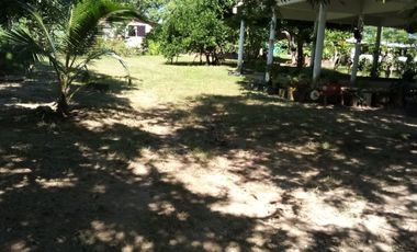 VENDO FINCA EN BARANOA DE 1 HECTAREA CON ARBOLES FRUTALES