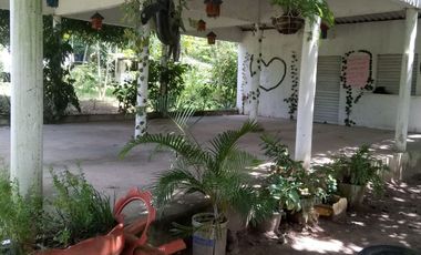 VENDO FINCA EN BARANOA DE 1 HECTAREA CON ARBOLES FRUTALES