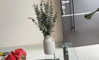 Departamento en venta, Puerta Victoria