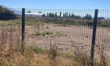 Vendo sitio en callejón Las Rosa Nancagua