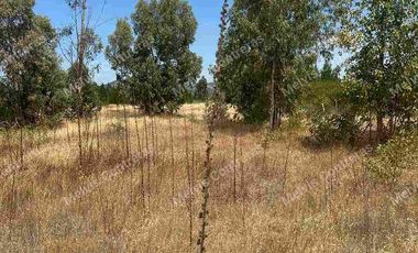 Se vende terreno de 5.000 mt. en Cuaquenes. Santa Elena. Cercano a la Ciudad. Región del Maule. Tiene Rol Propio y se puede hacer su pozo para la toma de agua. Comisión de corretaje de 1.000.000 de pesos.