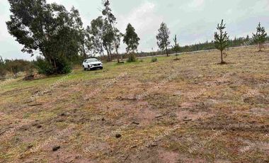 Se vende terreno de 5.000 mt. en Cuaquenes. Santa Elena. Cercano a la Ciudad. Región del Maule. Tiene Rol Propio y se puede hacer su pozo para la toma de agua. Comisión de corretaje de 1.000.000 de pesos.
