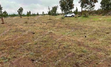 Se vende terreno de 5.000 mt. en Cuaquenes. Santa Elena. Cercano a la Ciudad. Región del Maule. Tiene Rol Propio y se puede hacer su pozo para la toma de agua. Comisión de corretaje de 1.000.000 de pesos.