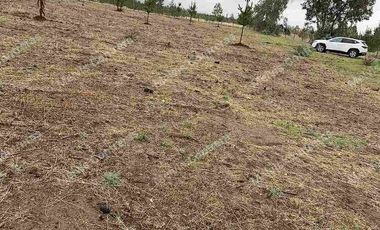 Se vende terreno de 5.000 mt. en Cuaquenes. Santa Elena. Cercano a la Ciudad. Región del Maule. Tiene Rol Propio y se puede hacer su pozo para la toma de agua. Comisión de corretaje de 1.000.000 de pesos.