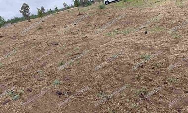 Se vende terreno de 5.000 mt. en Cuaquenes. Santa Elena. Cercano a la Ciudad. Región del Maule. Tiene Rol Propio y se puede hacer su pozo para la toma de agua. Comisión de corretaje de 1.000.000 de pesos.