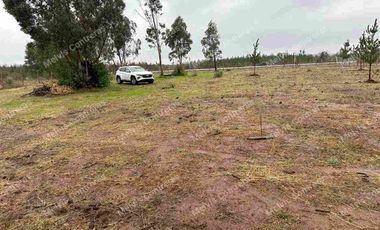 Se vende terreno de 5.000 mt. en Cuaquenes. Santa Elena. Cercano a la Ciudad. Región del Maule. Tiene Rol Propio y se puede hacer su pozo para la toma de agua. Comisión de corretaje de 1.000.000 de pesos.