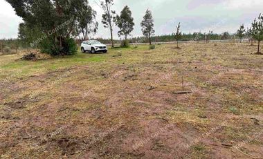 Se vende terreno de 5.000 mt. en Cuaquenes. Santa Elena. Cercano a la Ciudad. Región del Maule. Tiene Rol Propio y se puede hacer su pozo para la toma de agua. Comisión de corretaje de 1.000.000 de pesos.