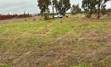 Se vende terreno de 5.000 mt. en Cuaquenes. Santa Elena. Cercano a la Ciudad. Región del Maule. Tiene Rol Propio y se puede hacer su pozo para la toma de agua. Comisión de corretaje de 1.000.000 de pesos.
