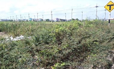 ขายที่ดินเปล่า เนื้อที่ 2ไร่ 64.3 ตรว. ถนนเอกชัย โคกขาม สมุทรสาคร (ติดถนน) แปลงสวย เหมาะสำรับทำอพาร์ทเม้นท์