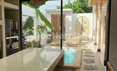 Stylish 1 Bedroom Villa in Tabanan, An Investment Opportunity