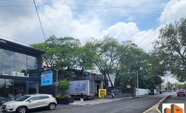 Planta Alta de esta Casa en Renta con espectacular terraza , en Altavista, San Ángel  para Uso Comercial o de Oficinas.