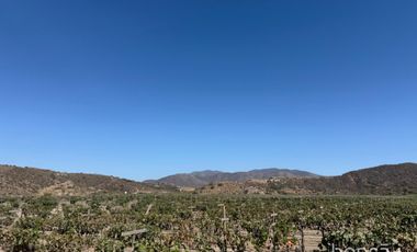 Rancho En VENTA Con Producción De Uva, Ubicado En San Quintín