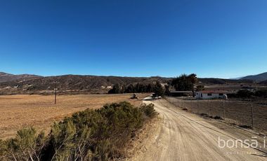 Rancho En VENTA Con Producción De Uva, Ubicado En San Quintín